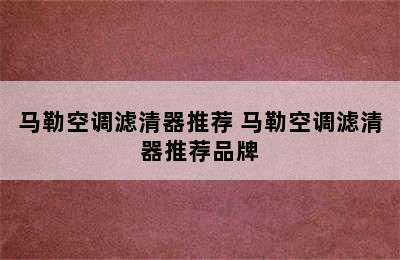 马勒空调滤清器推荐 马勒空调滤清器推荐品牌